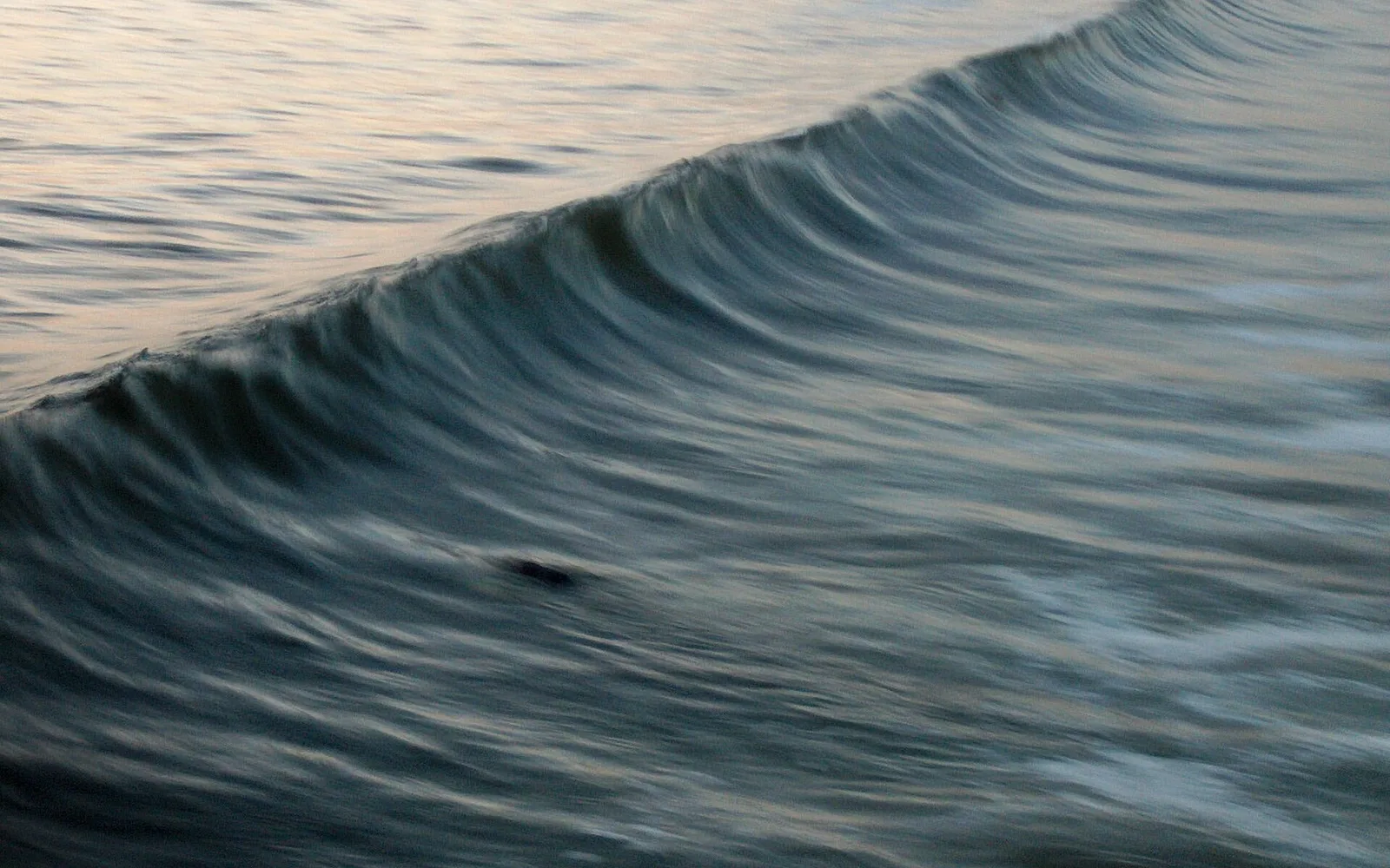 A breaking wave at Manhattan Beach.