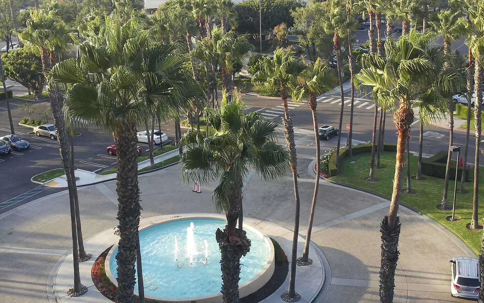 Palm trees, a fountain and nearby office buildings in Manhattan Beach.